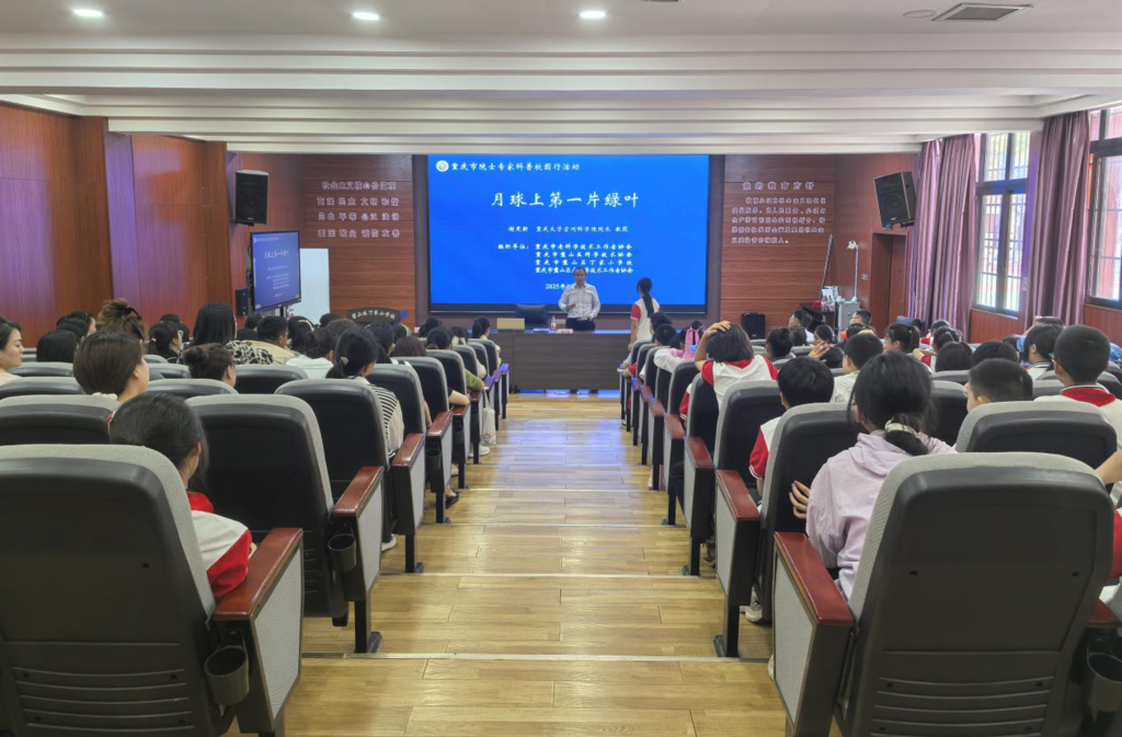 图片4