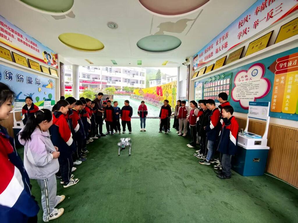图片1