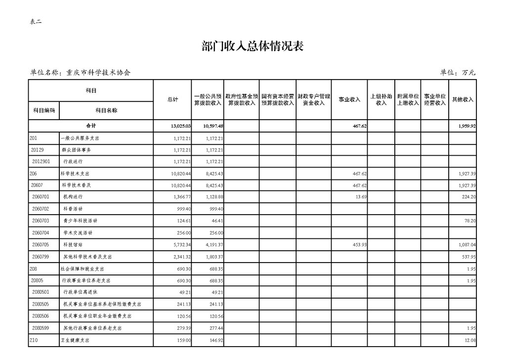 2025年部门预算公开-市科协255_页面_10
